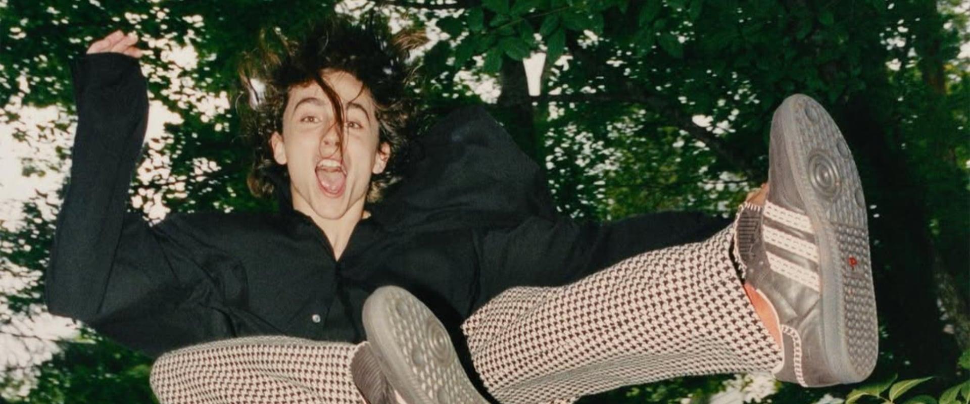 article background image