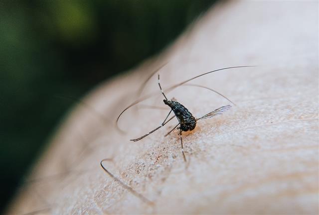 Pour la première fois, Paris désinfecté contre les moustiques