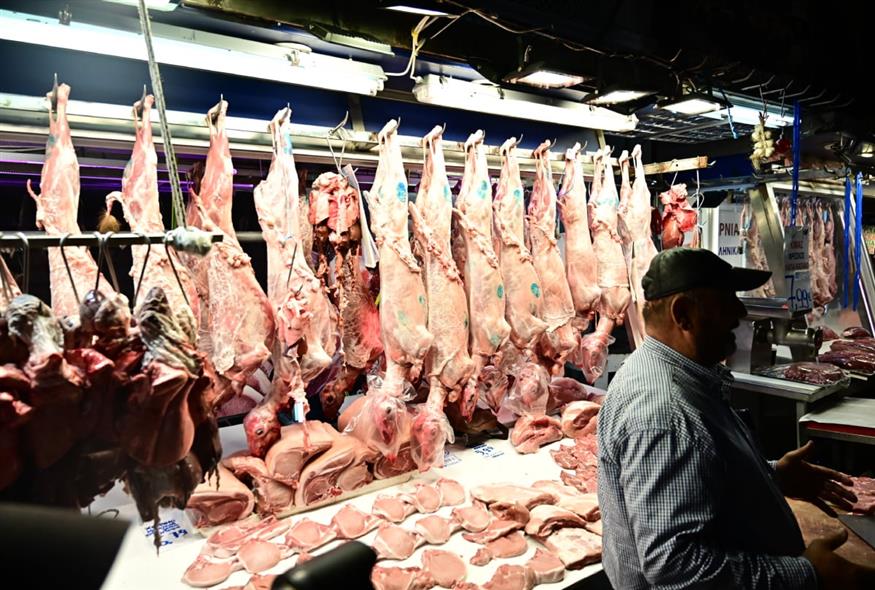 (ΚΩΣΤΑΣ ΤΖΟΥΜΑΣ/EUROKINISSI)