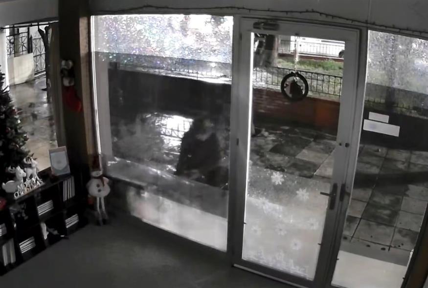 Στιγμιότυπο από το βίντεο-ντοκουμέντο