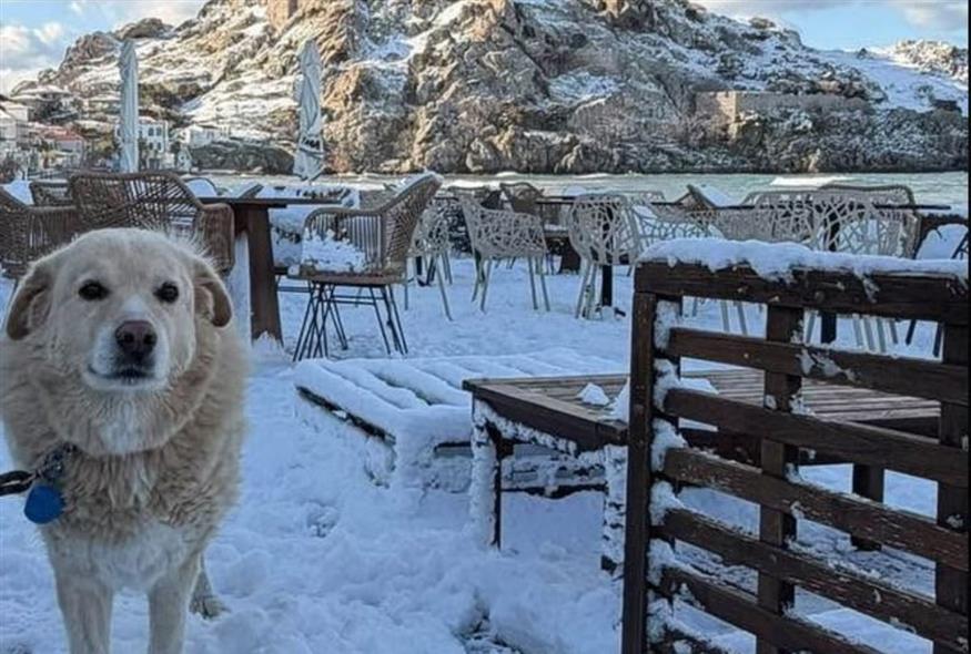 Χιόνια και χιονόστρωση στη Λήμνο (Χ)
