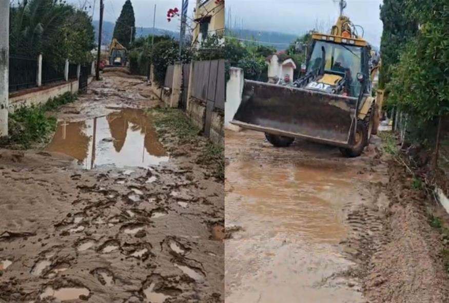 Πηγή φωτο: screenshot/Κώστας Ασημακόπουλος (ethnos.gr)