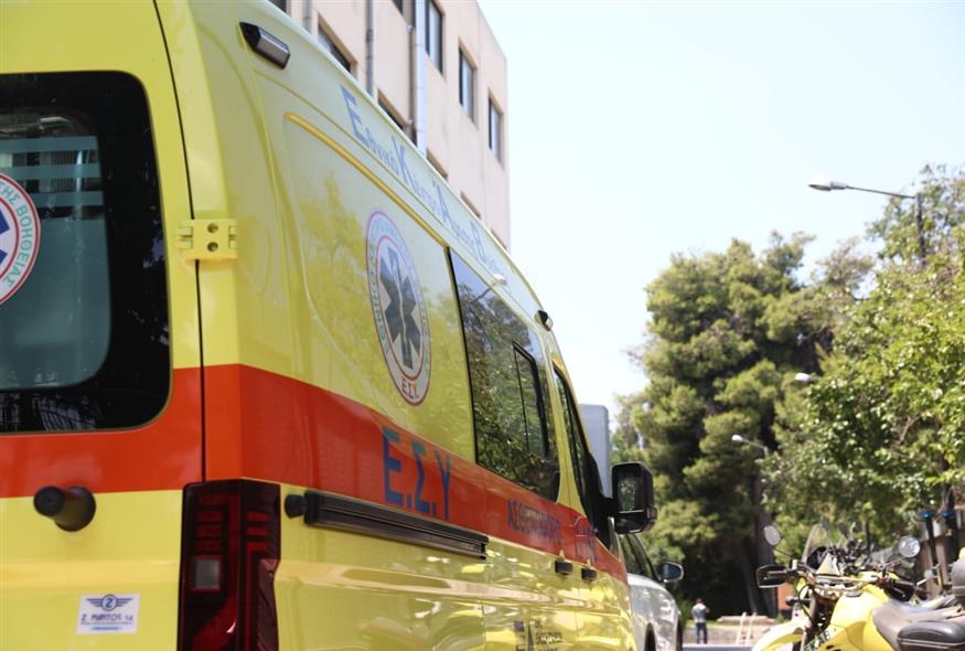 (ΠΗΓΗ:ΔΑΝΑΗ ΔΑΥΛΟΠΟΥΛΟΥ/ EUROKINISSI)
