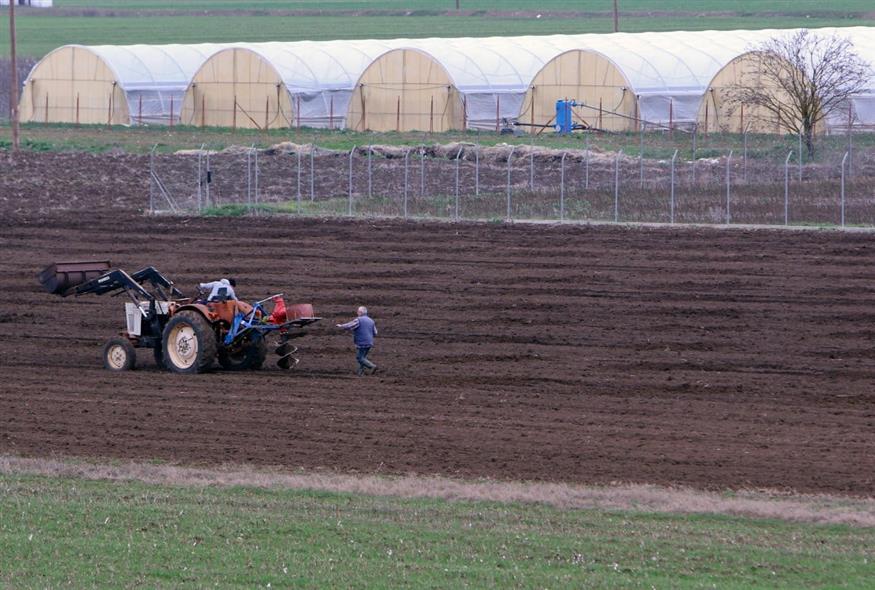 Αγροτικές εργασίες (Φωτογραφία αρχείου: INTIME NEWS / ΚΥΔΩΝΑΣ ΓΙΩΡΓΟΣ)