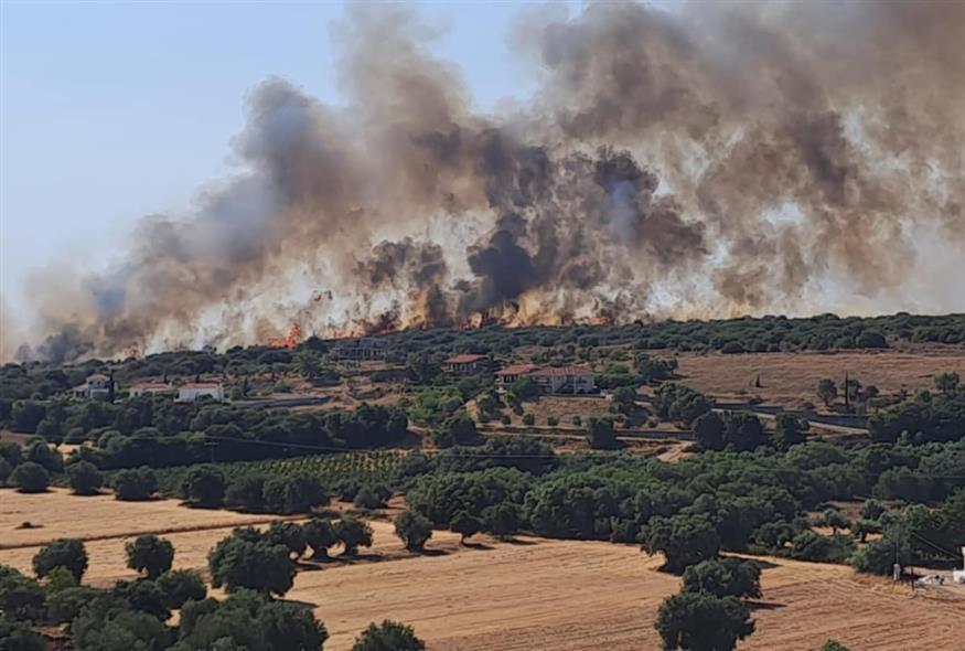Μεγάλη φωτιά στην Κεφαλονιά (inkefalonia.gr)