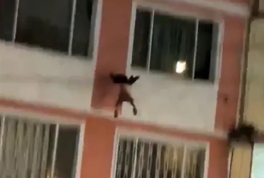 Στιγμιότυπο από το περιστατικό (screenshot/instagram)