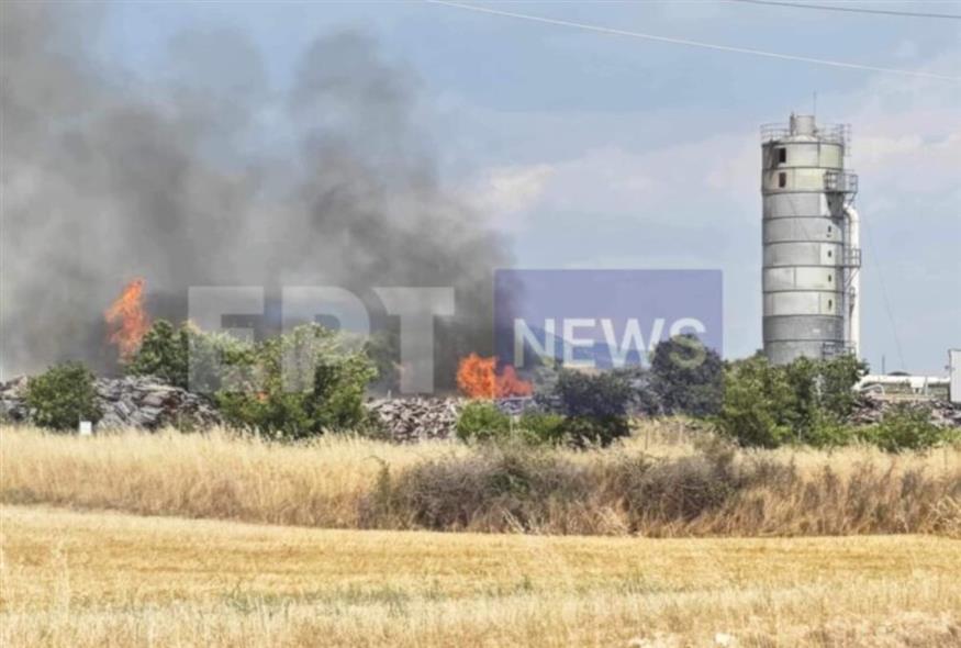 Φωτιά στις Σέρρες (ΕΡΤ)