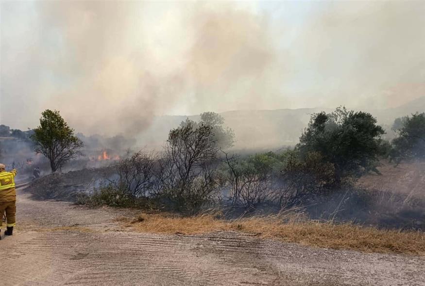 (ethnos.gr/Κώστας Ασημακόπουλος)