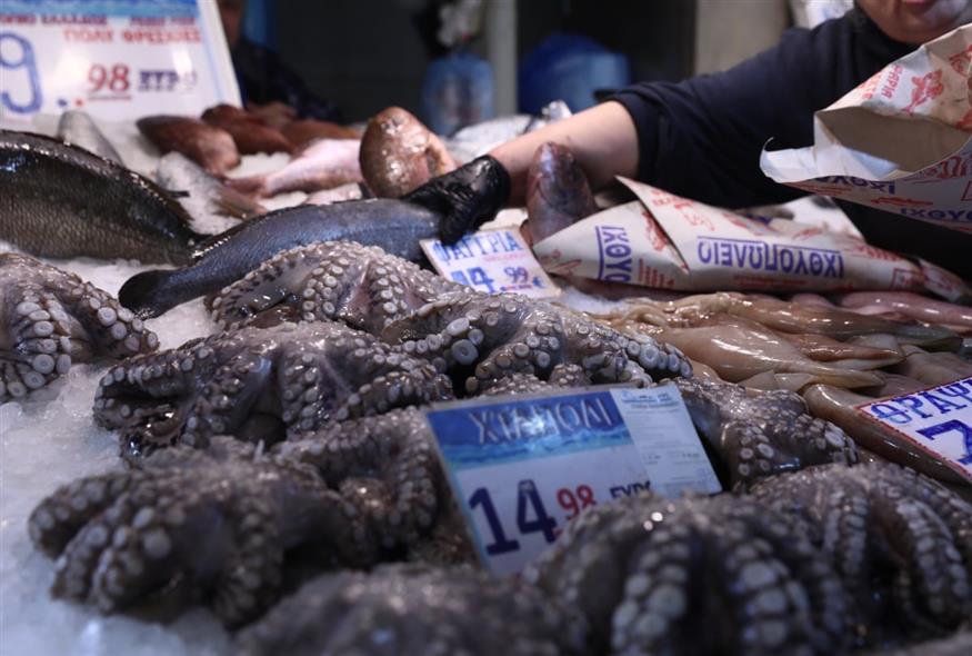 (ΔΑΝΑΗ ΔΑΥΛΟΠΟΥΛΟΥ/EUROKINISSI)