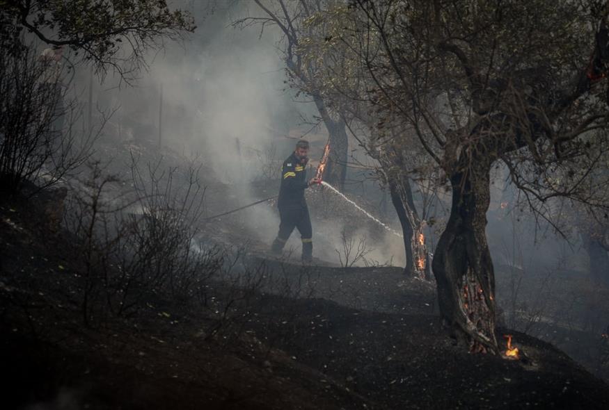 (Πηγή: ΠΑΝΑΓΙΩΤΗΣ ΜΠΑΛΑΣΚΑΣ /EUROKINISSI)