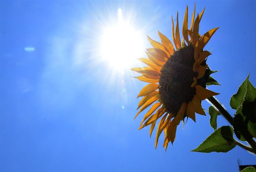 Ήλιος - καιρός (ΒΑΣΙΛΗΣ ΠΑΠΑΔΟΠΟΥΛΟΣ / EUROKINISSI)