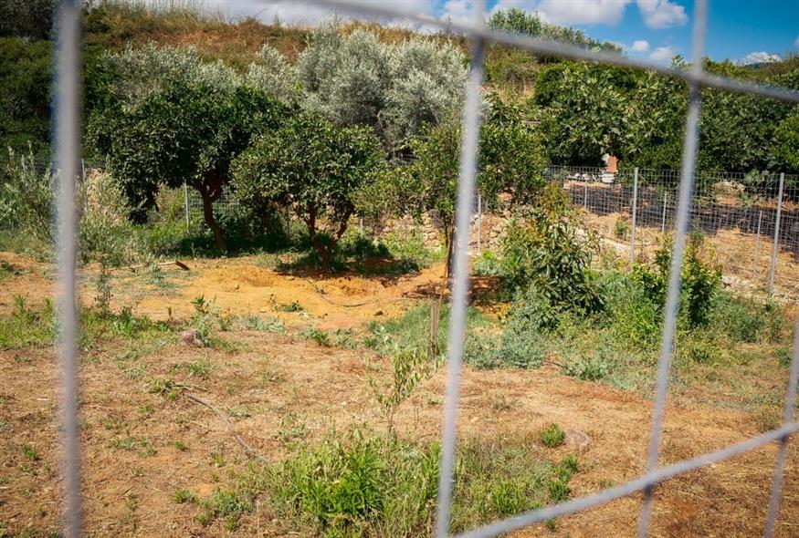 (ΓΙΑΝΝΗΣ ΑΓΓΕΛΑΚΗΣ/EUROKINISSI)