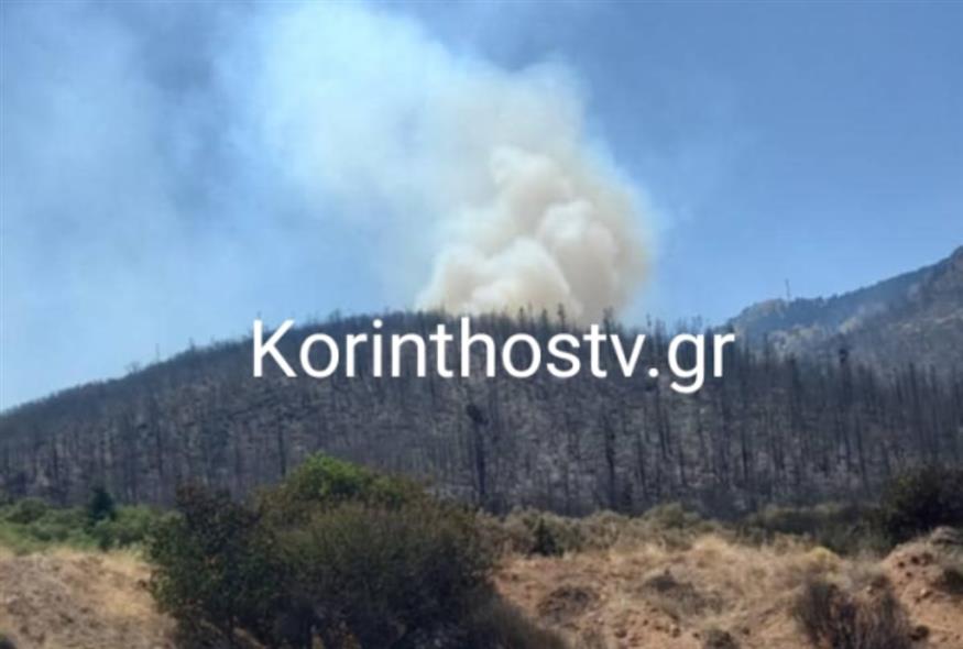Φωτιά στην Κορινθία: Αναζωπύρωση στον Φενεό (korinthostv.gr)