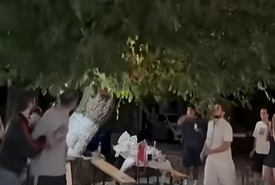 Ικαριώτικη τρέλα