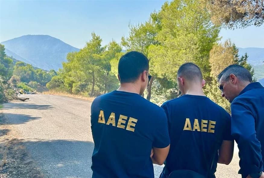 (Πυροσβεστική)