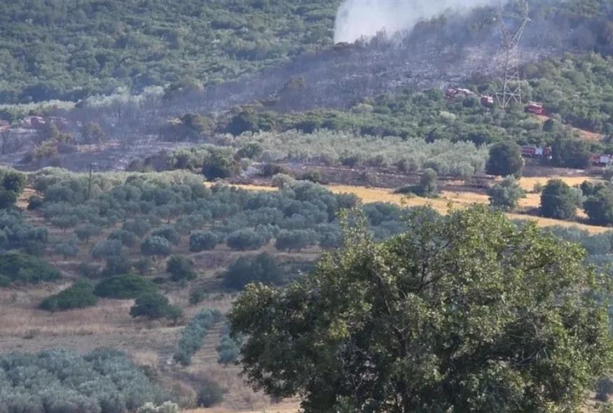 Φωτιά (Πυρκαγιά Ενημέρωση/facebook)