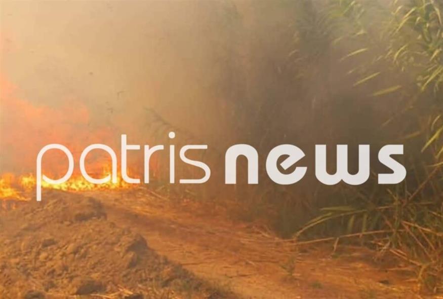 Φωτιά στη Βάρδα Ηλείας (patrisnews.com)