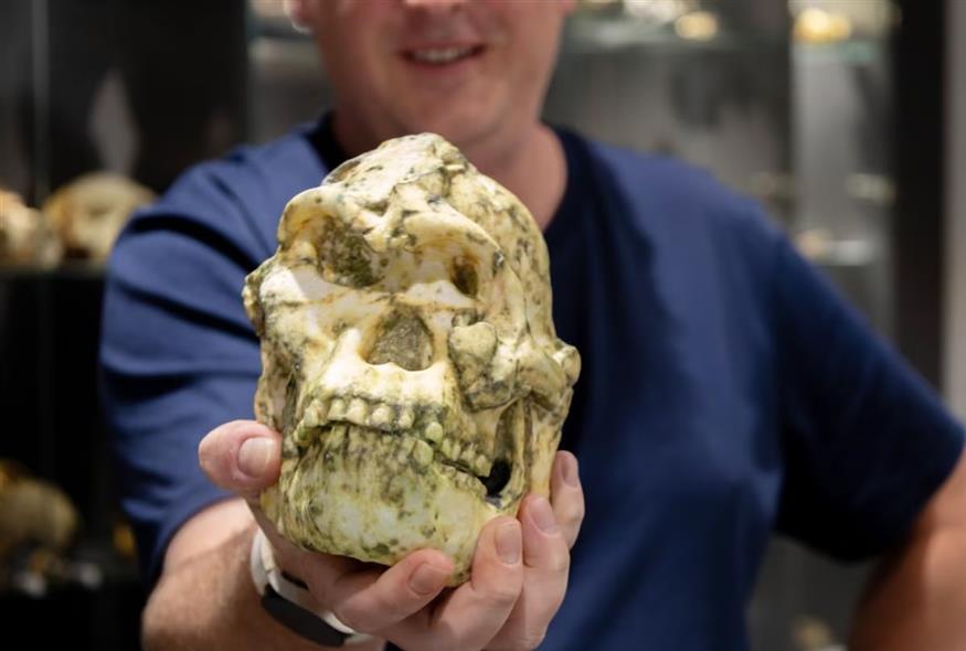 Ο Δρ Jesse Martin πιστεύει ότι ο Little Foot θα μπορούσε να αποτελεί έναν εντελώς νέο κλάδο του γενεαλογικού δέντρου του ανθρώπου (La Trobe University)