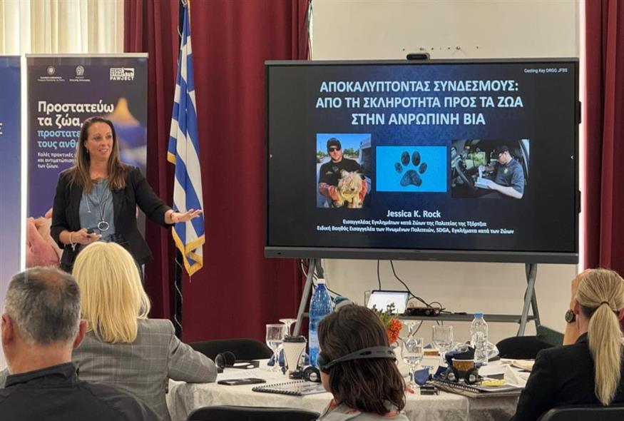 Τα αδέσποτα ως εύκολη λεία για κακοποιητές και δείκτης αύξησης της εγκληματικότητας