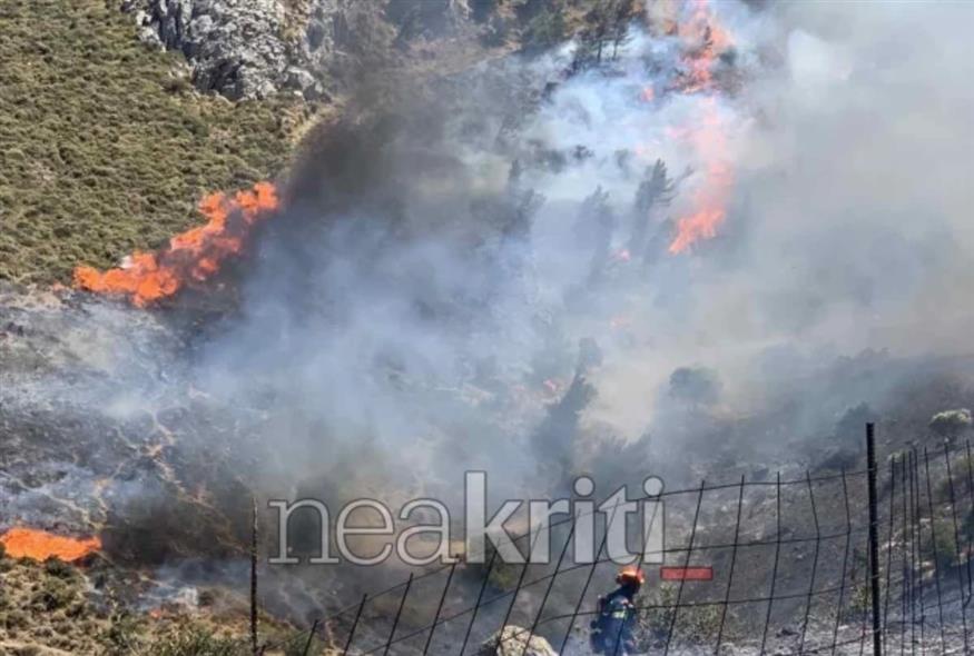 (Πηγή:neakriti)