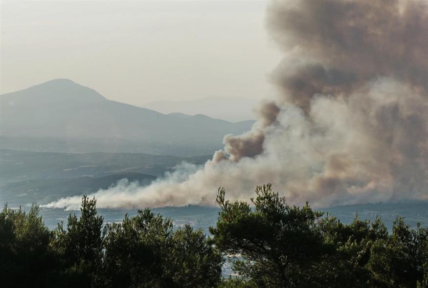 Φωτιά στον Ωρωπό/Eurokinissi