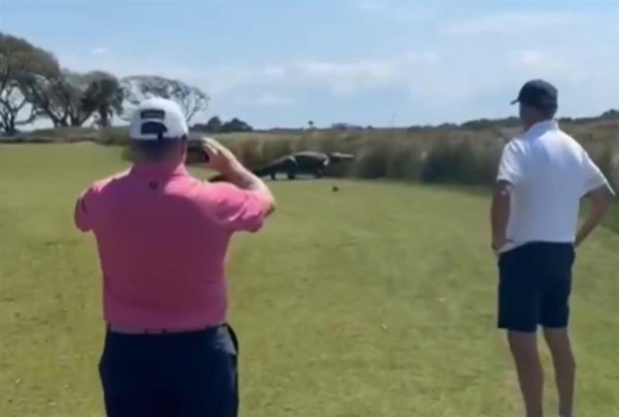 Αλιγάτορας έκανε βόλτα σε γήπεδο γκολφ΄/X/Rick