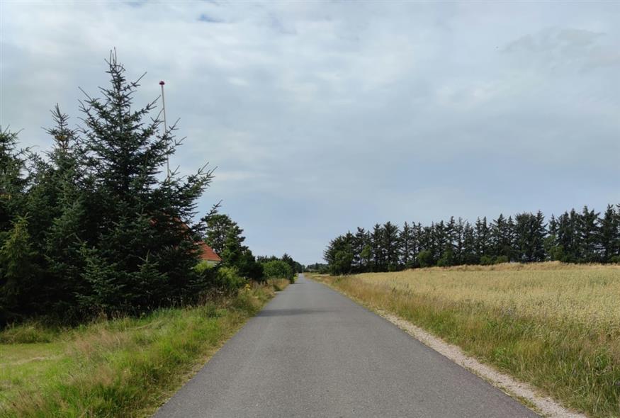 δρόμος/unsplash