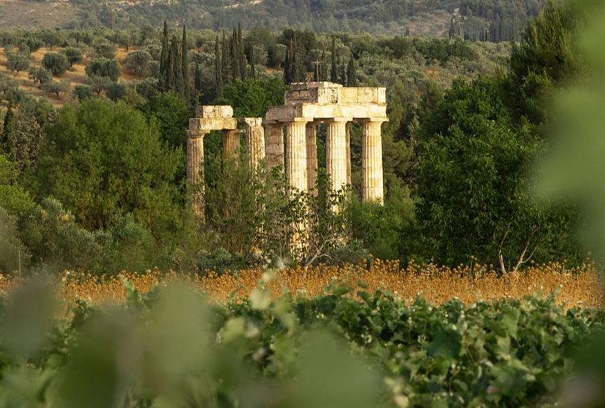 Οι Μεγάλες Μέρες της Νεμέας επιστρέφουν, πλούσιες σε κρασί και events