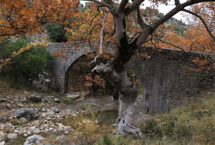 To Μονοπάτι του Μαινάλου