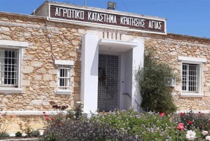 Αγροτικές Φυλακές Αγιάς