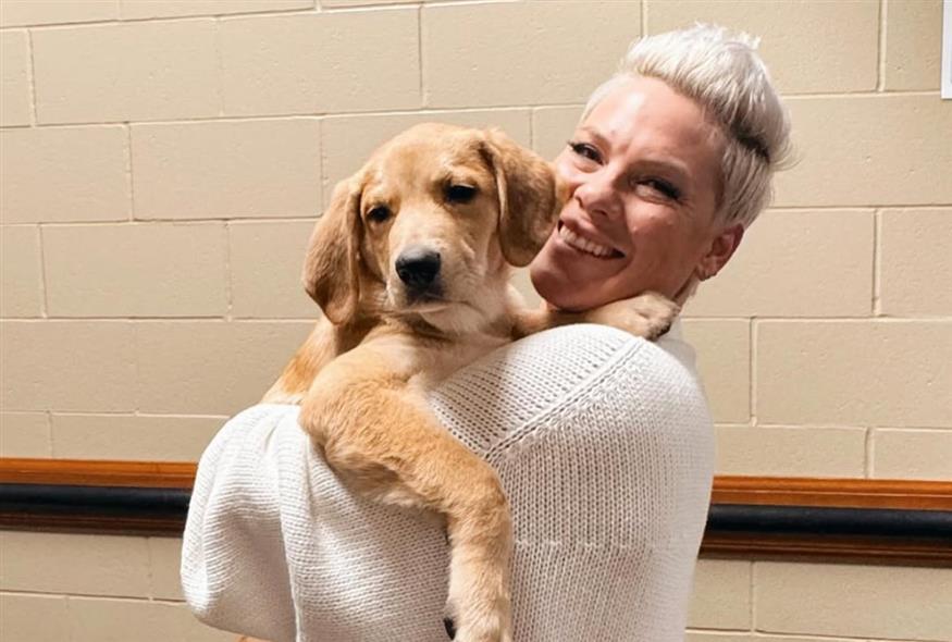 Pink (Copyright: Instagram)