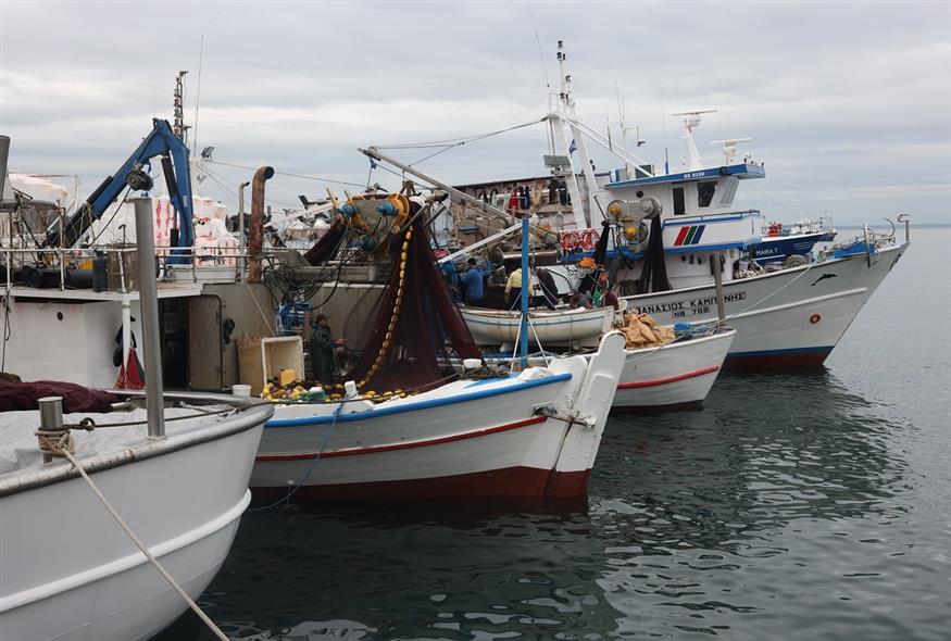 Αλιείς (ΒΑΣΙΛΗΣ ΒΕΡΒΕΡΙΔΗΣ/ΜΟΤΙΟΝΤΕΑΜ)