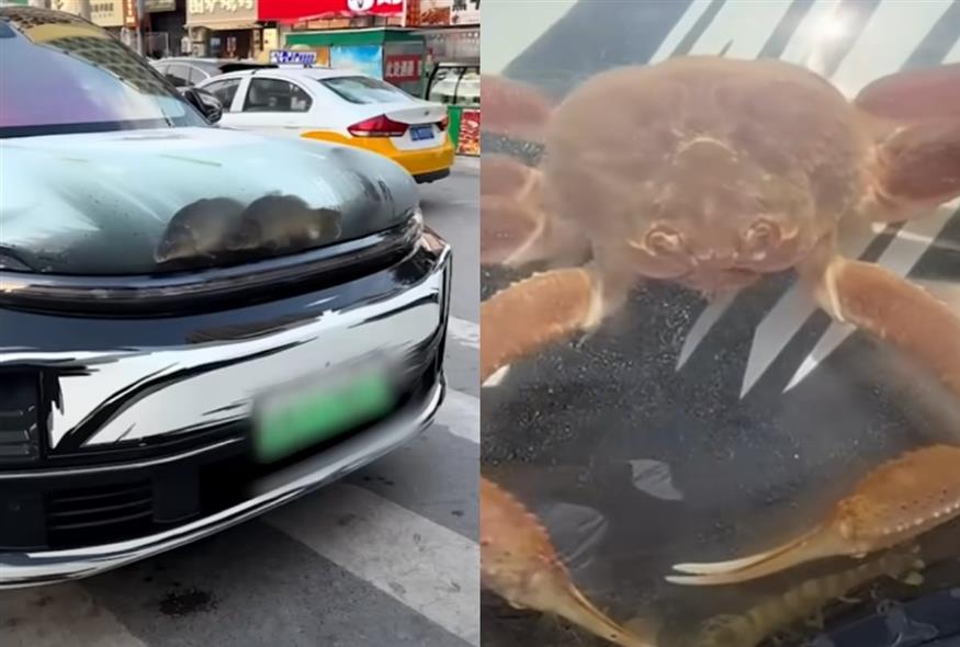 (screenshot/Youtube)