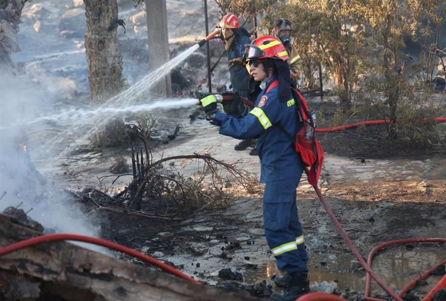 (ΠΑΝΑΓΟΠΟΥΛΟΣ ΓΙΑΝΝΗΣ/EUROKINNISI)