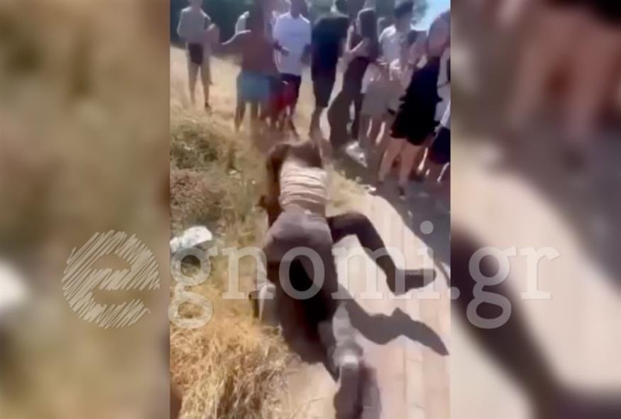 Άγριο ξύλο μεταξύ μαθητριών στην Εύβοια (egnomi.gr)