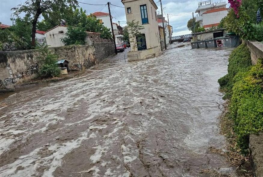 Σκάλα Ερεσού/stonisi