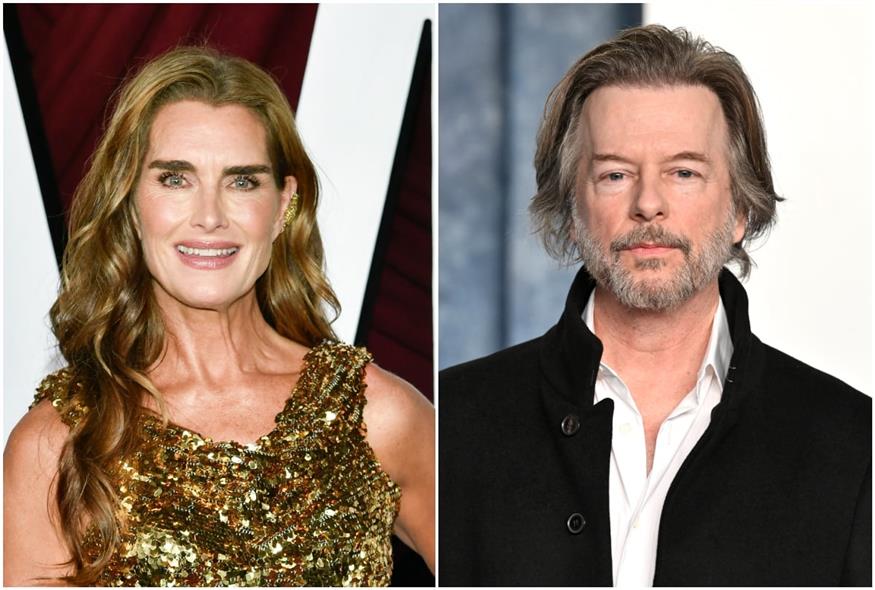 Μπρουκ Σιλντς - Ντέιβιντ Σπέιντ (AP)