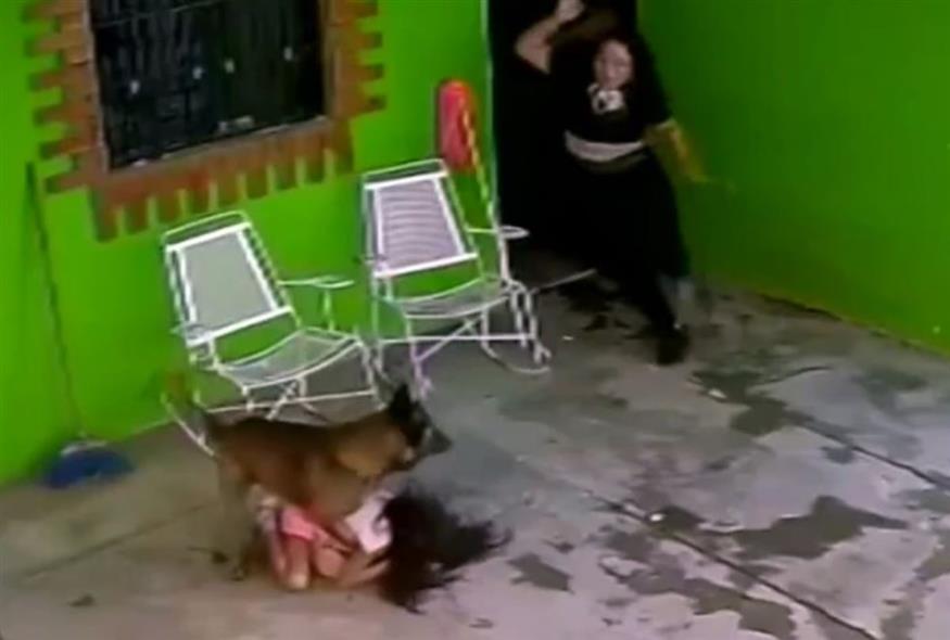 Ανήμπορο να αντιδράσει το παιδί στην επίθεση του σκύλου