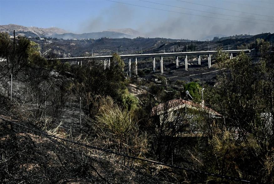 Πυρκαγιά στην Αχαΐα (EUROKINISSI)