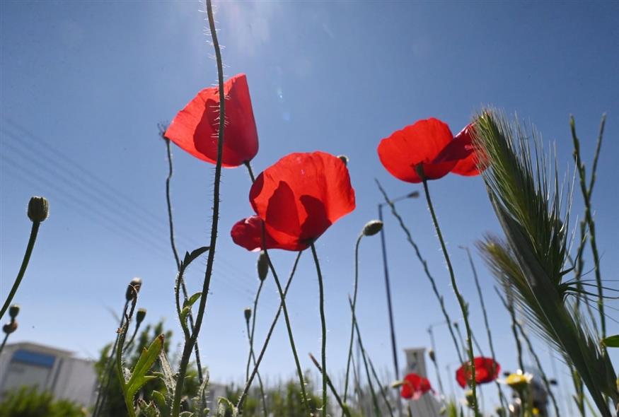 Ανοιξιάτικος καιρός (Eurokinissi)