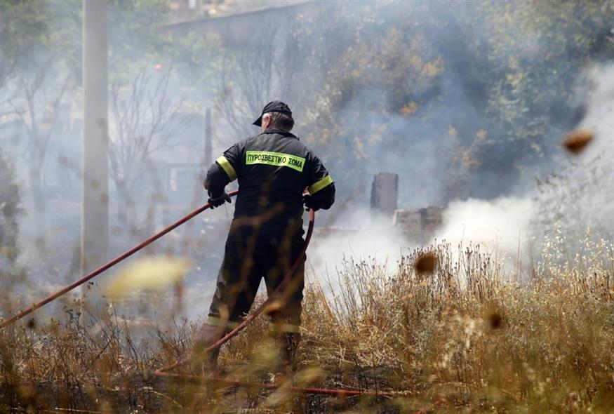 (Φωτογραφία αρχείου: EUROKINISSI)