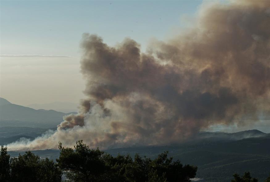 Φωτιά (ΔΙΟΝΥΣΗΣ ΠΑΤΕΡΑΚΗΣ/EUROKINISSI)