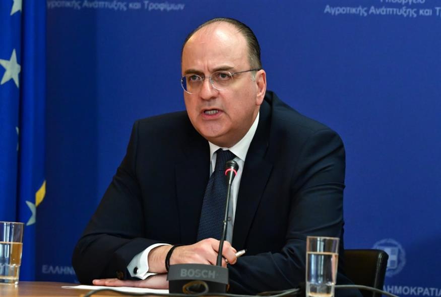 (ΤΑΤΙΑΝΑ ΜΠΟΛΑΡΗ / EUROKINISSI)