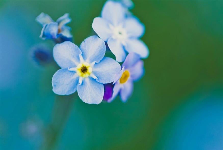 Εορτολόγιο/pexels