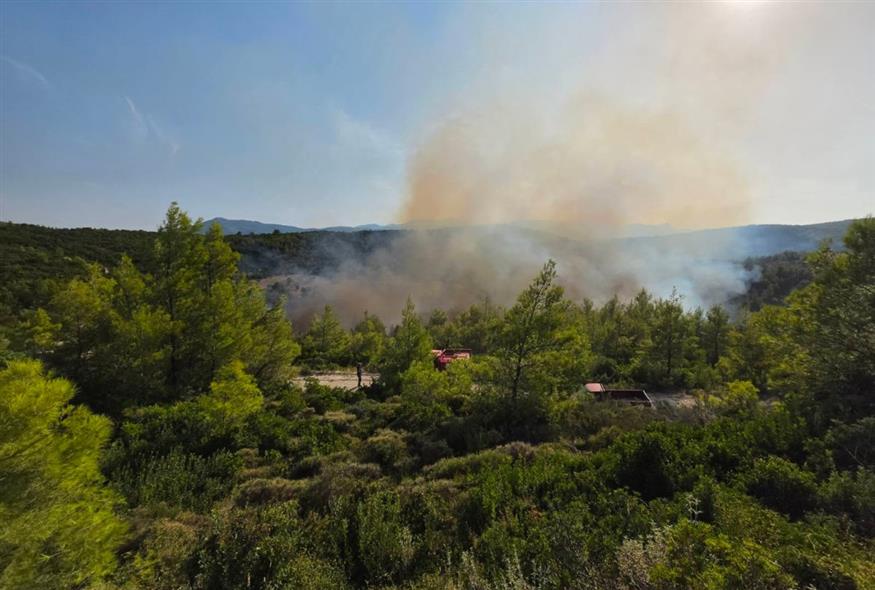 (Πολιτική Προστασία Δήμος Ωρωπού)