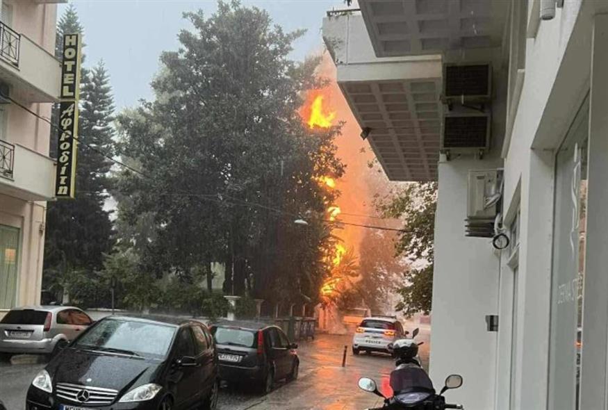 Ναύπακτος: Δέντρο άρπαξε φωτιά από κεραυνό (Screenshot)