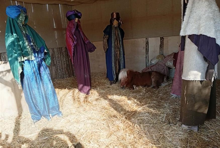 Φιλοζωική αντιδρά για το πόνι μέσα στη φάτνη (FACEBOOK)