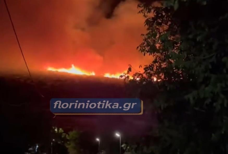 Φωτιά στη Φλώρινα (floriniotika.gr)