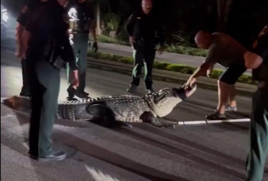 Στιγμιότυπο από το βίντεο-ντοκουμέντο (X)