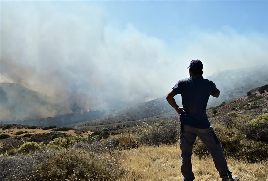 ΠΥΡΚΑΓΙΑ ΣΤΗΝ ΠΑΛΑΙΑ ΦΩΚΑΙΑ ΑΤΤΙΚΗΣ (ΚΩΣΤΑΣ ΤΖΟΥΜΑΣ/EUROKINISSI)